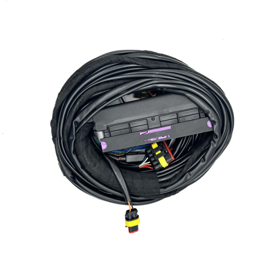 4-cylindrowa wiązka wielopunktowego wtrysku paliwa ECU 56-pinowa wiązka przewodów CNG LPG Auto