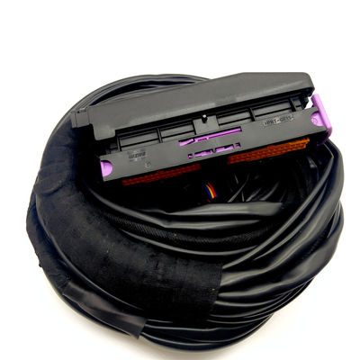 OEM akceptowany ISO9001 wodoodporny kabel samochodowy do 56 pinów ECU