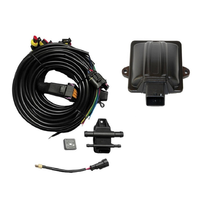 3, 4-cylindrowy typ CNG LPG ECU z ABS Plastic Housing
