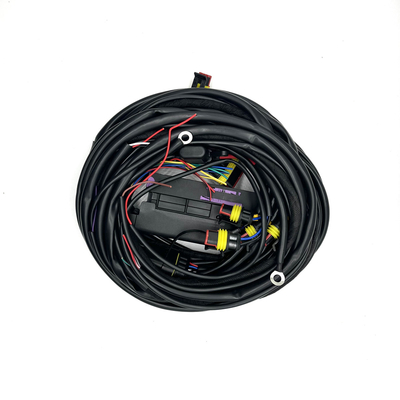 4-cylindrowa wiązka wielopunktowego wtrysku paliwa ECU 56-pinowa wiązka przewodów CNG LPG Auto