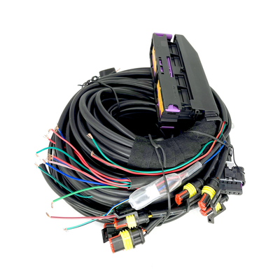 Wielopunktowa wiązka przewodów samochodowych CNG LPG 56 pinów do 6-cylindrowego ECU