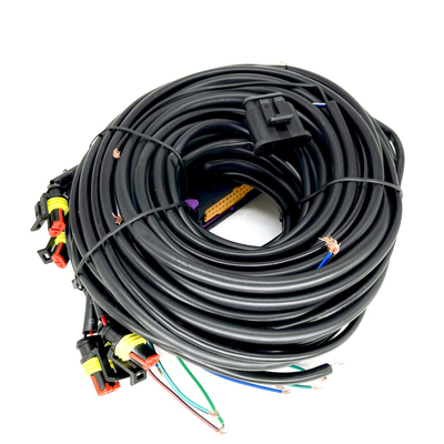 Wielopunktowa wiązka przewodów samochodowych CNG LPG 56 pinów do 6-cylindrowego ECU